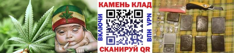 ГАШ Premium Выкса