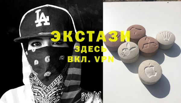 индика Алексин