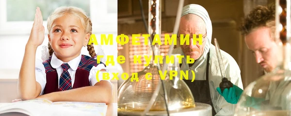 индика Алексин