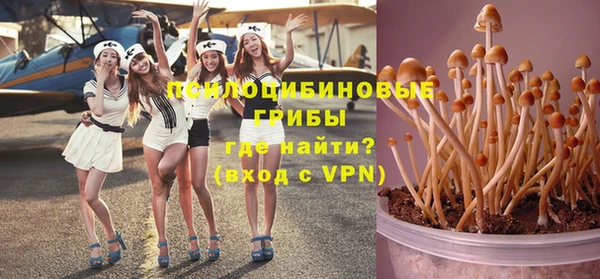круглые Алексеевка