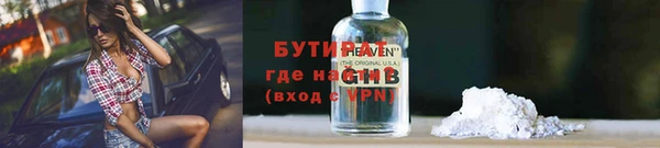 индика Алексин