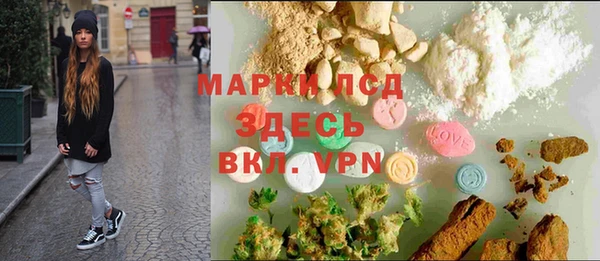 индика Алексин
