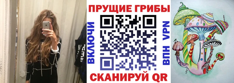Галлюциногенные грибы Magic Shrooms  что такое   Выкса 